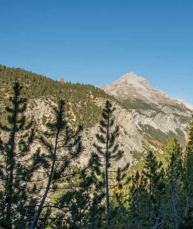 Der Weg schlängelt sich von La Drossa dem Hang entlang Richtung Alp la Schera. Im Hintergrund der Piz dal Fuorn.