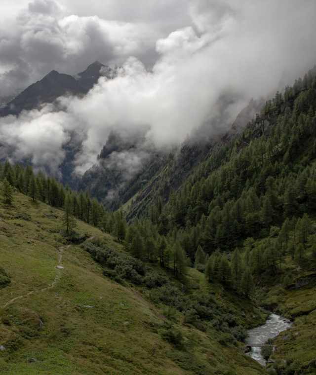 Die Baumgrenze liegt hinter uns, Blick von der Ochsner Htt. ins Tal 