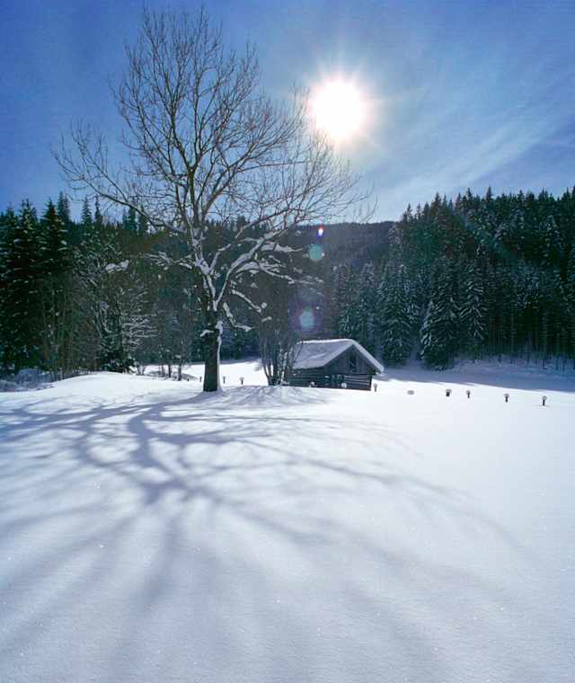 Tiefverschneite Landschaft am Dientner Sattel am Hochkönig