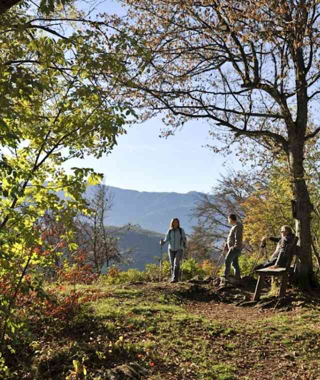 Tscheltschnigkoegel