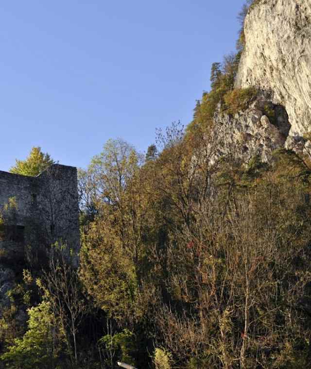 Ruine Federaun