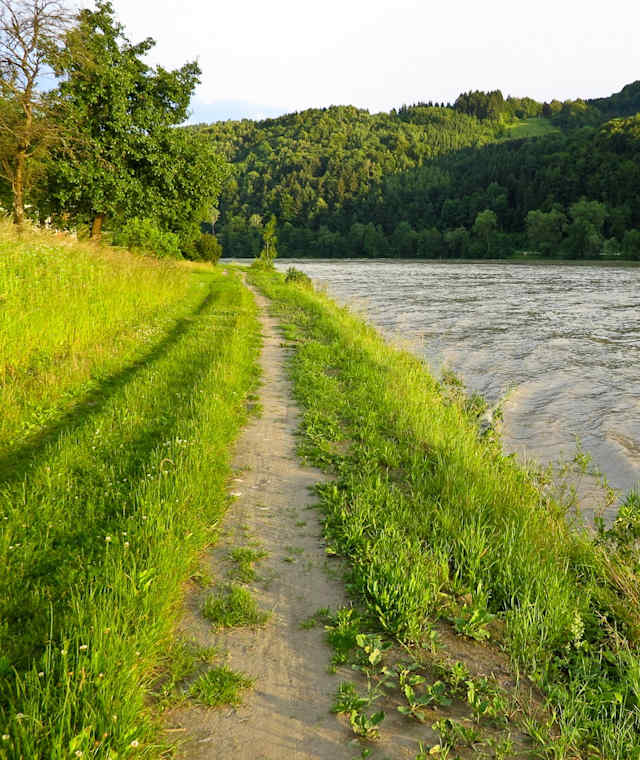 Donau bei Niederranna 