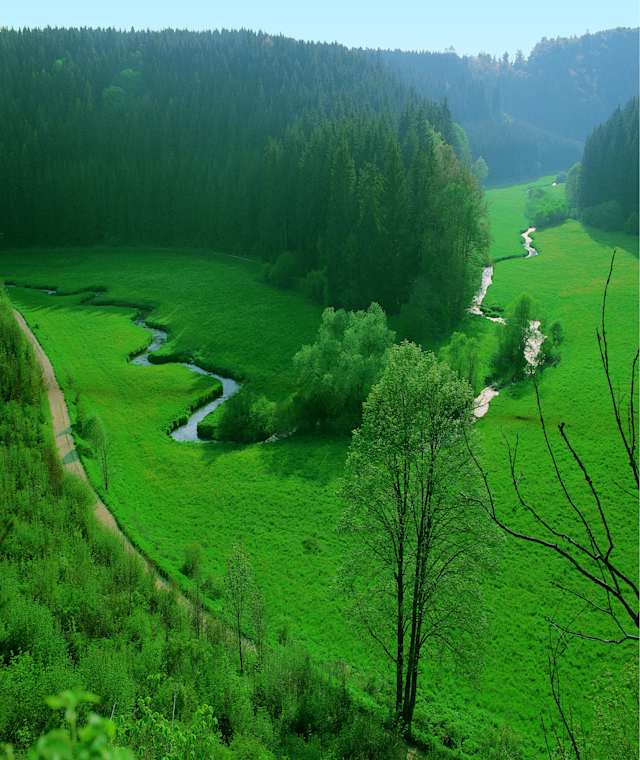 Laucherttal