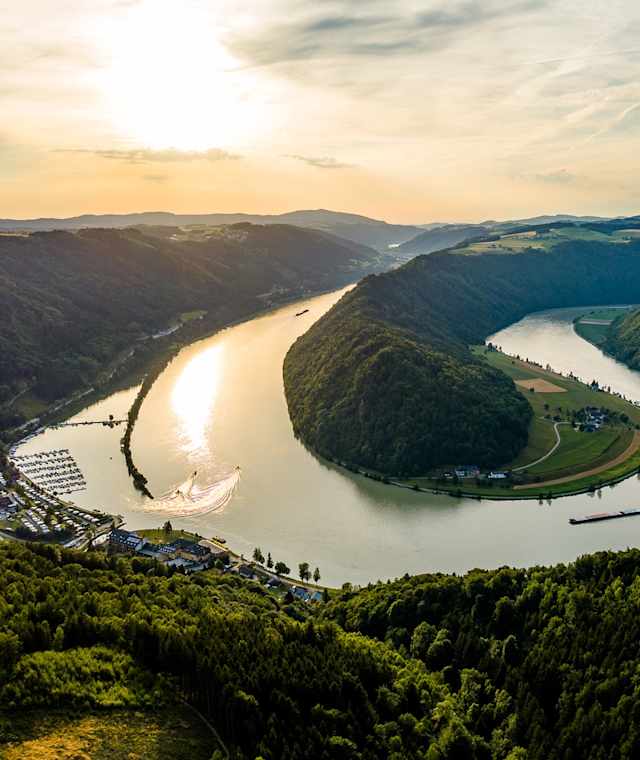 Panoramablick Schlögener Schlinge