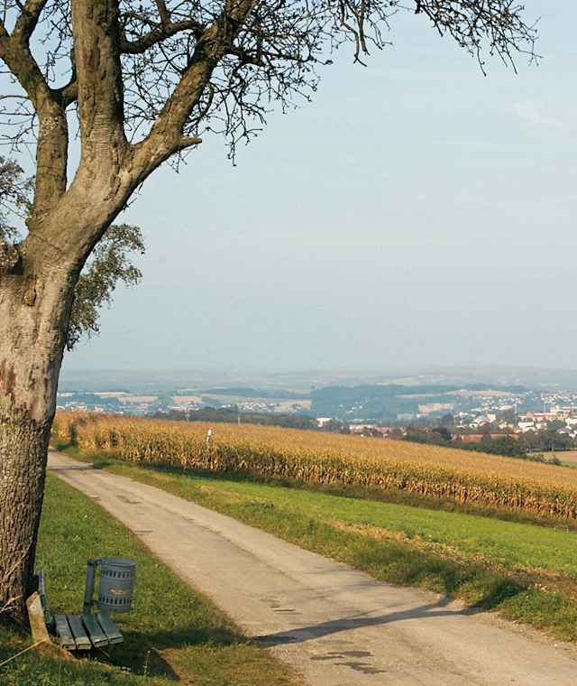 Rabenberg, Blick in die Donauebene mit der Stadt Enns.