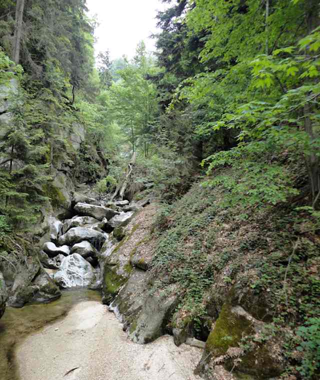 Der Gießenbach in der Stillensteinklamm.