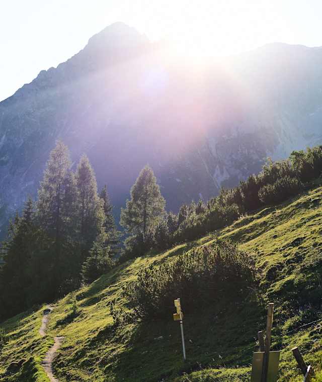Wanderweg im Bereich der Dr. Heinrich-Hackl-Hütte