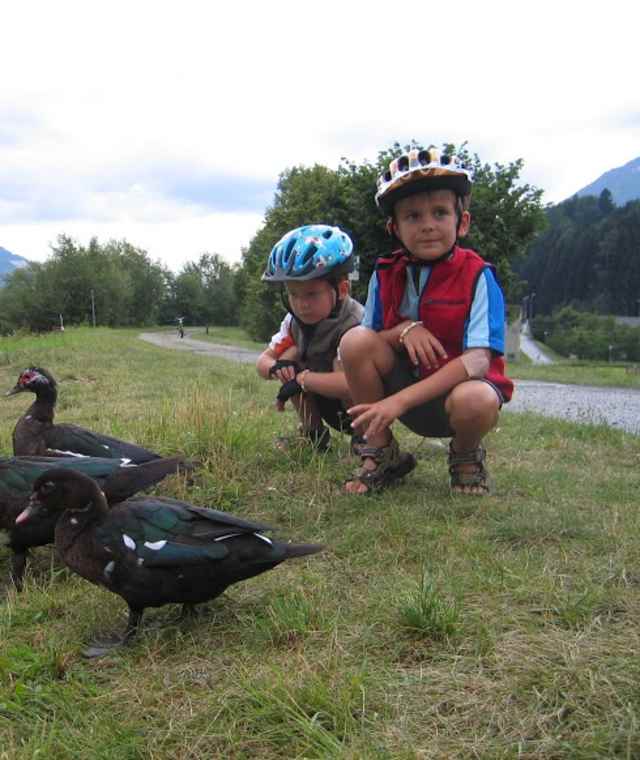 Am Drautalradweg
