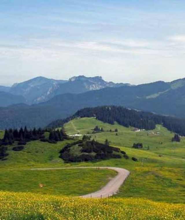 Scheibelberg