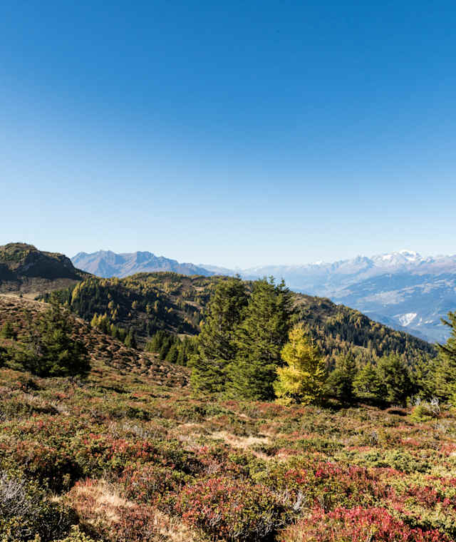 Panorama-Rundwanderweg Mutta