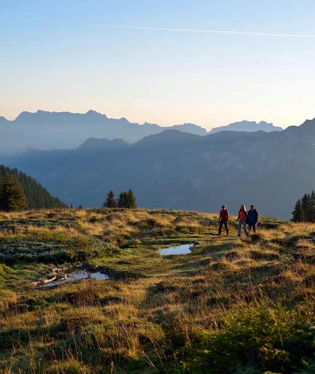 Dreibündenstein Panoramaweg