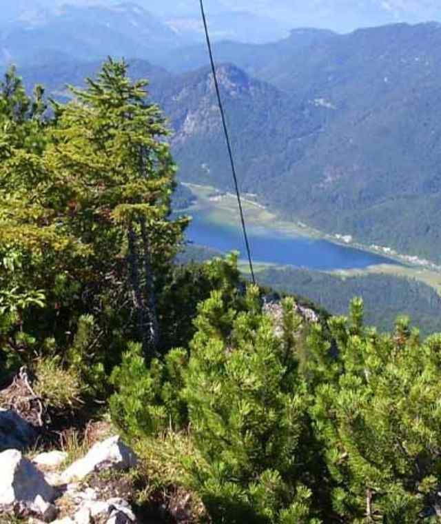 Dürrnbachhorngipfel
