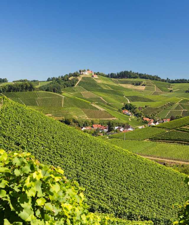 Durbacher Weitblick
