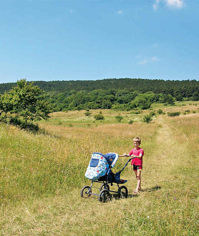 Kinderwagenwanderung um Wien