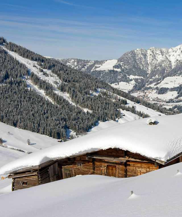 Verschneites Almengebiet in Inneralpbach