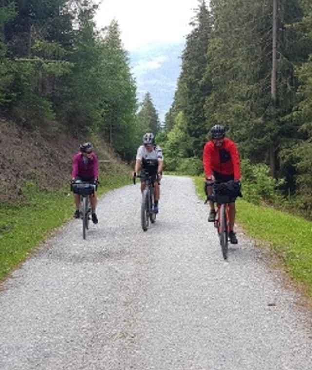 Durch den schattigen Wald am Felberberg.
