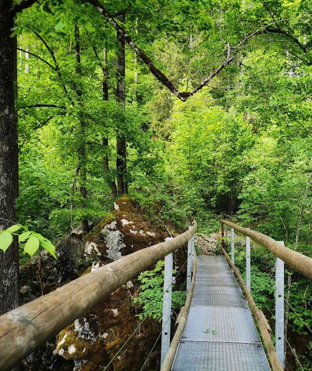 Brücke im Höhlenpark Bezau