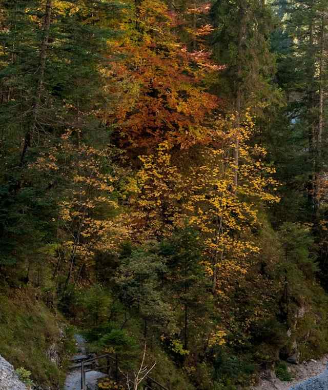 Durch die beeindruckende Hüttlebachklamm bei Krün.