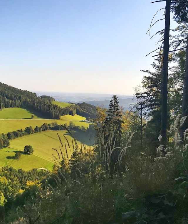 Ausblick vom Wachthaussattel