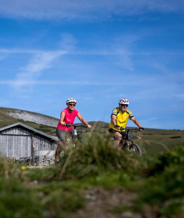 Bike-Genusstour am Schneealmplateau