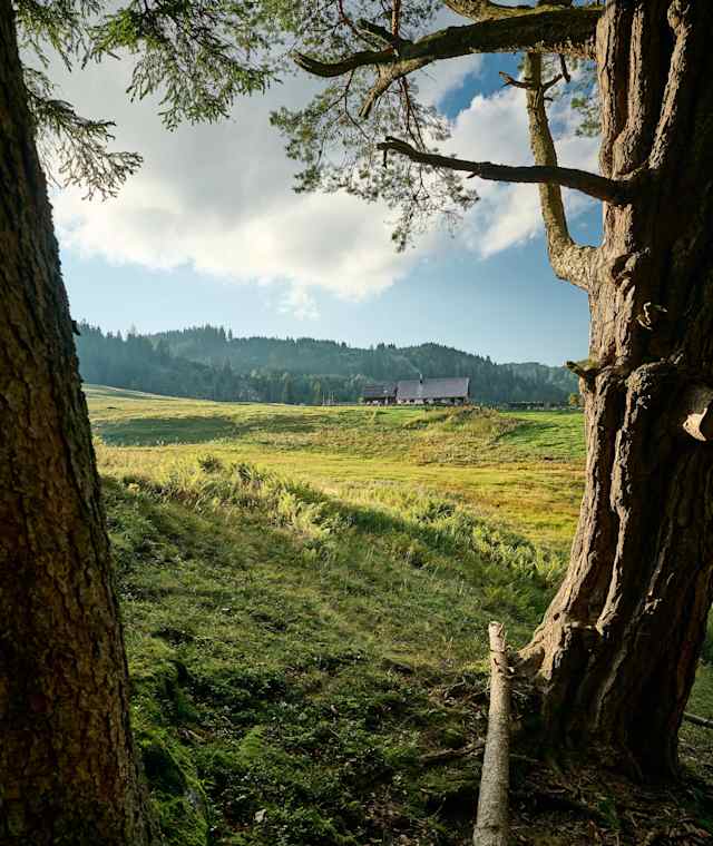 Wanderung zur Ebenforstalm