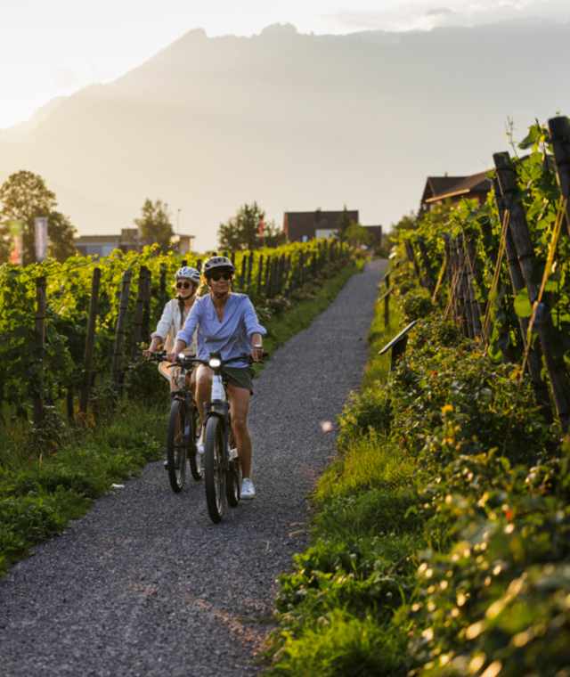 RheinWelten E-Bike: Liechtenstein Kulinarik-Tour in Vaduz