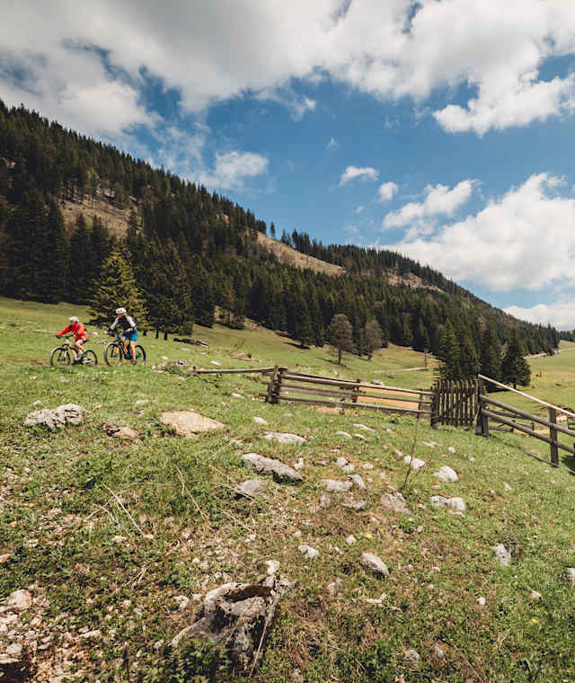 Auf der Durriegelalm im Naturpark Mürzer Oberland