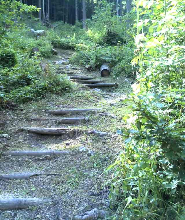 Stufenweg am Eglsee