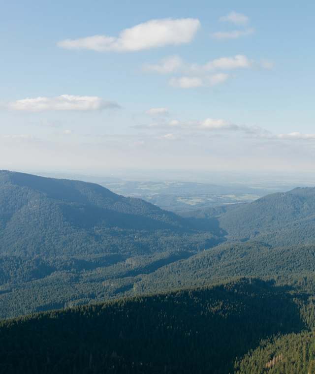 Blick über die grünen Ammergauer Alpen