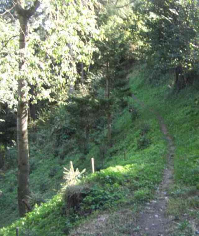Eichbergweg nach Oberperfuss
