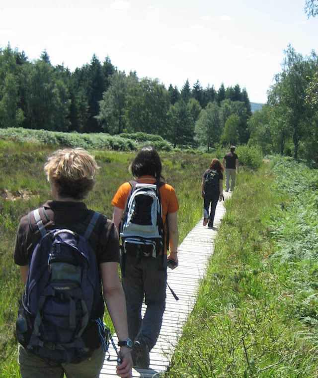 Struffelt Heide