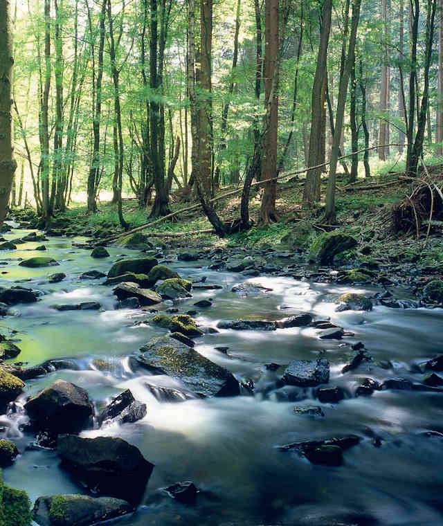 Stromschnellen auf der Rur