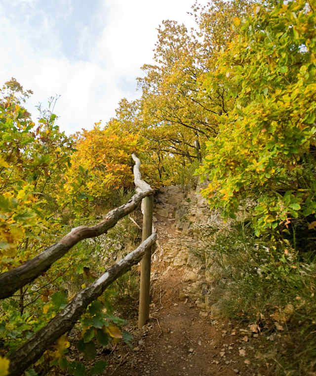 Am Weg zur Kuckucksley 