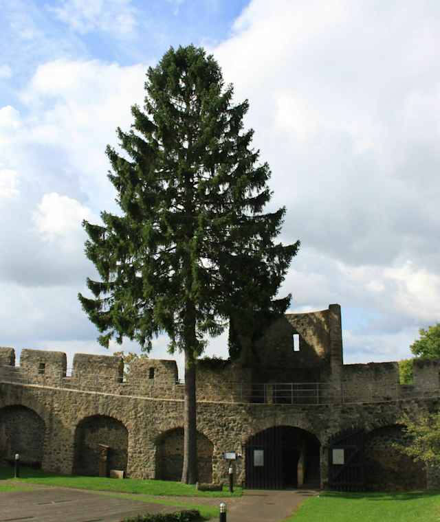 An der Burg