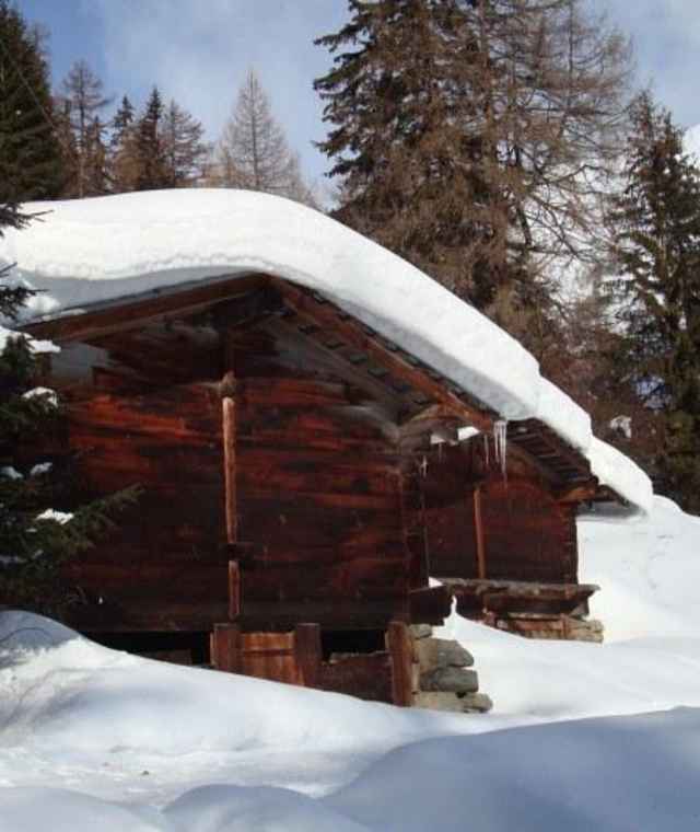 Eistli