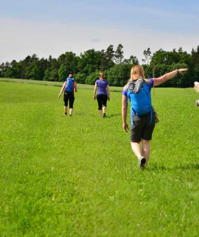 Über Feld und Wiesen