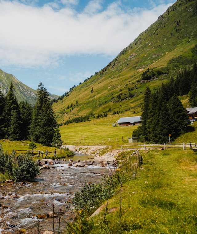 Almlandschaft Eselsberg, Region Murau