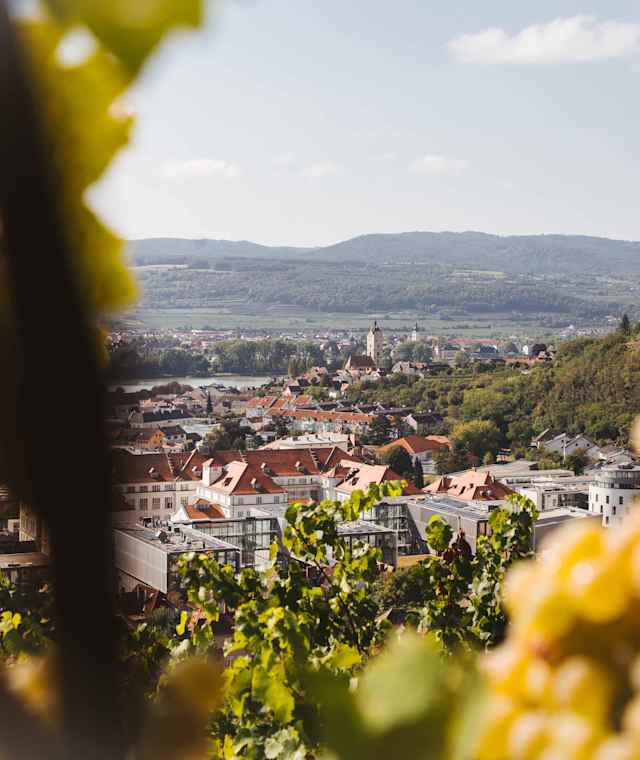 Blick auf Krems-Stein - Welterbesteig Wachau