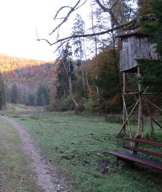 Symbolbild Wandern