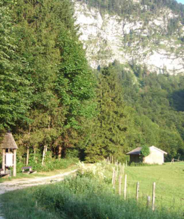 Inzell-Falkenstein-Zwing