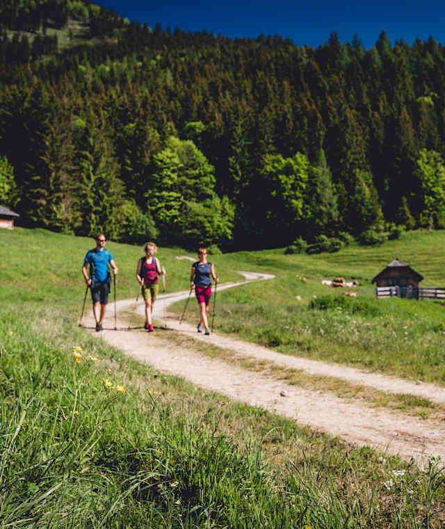 Wald- und Almwege zeichnen die 9. Etappe der BergZeitReise in der Hochsteiermark aus.