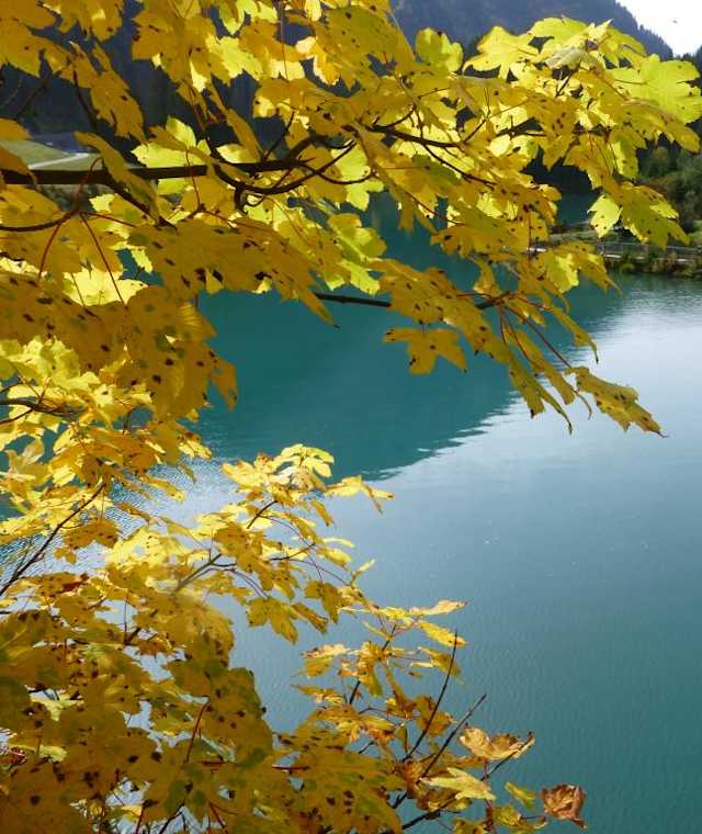Der Verwallsee 
