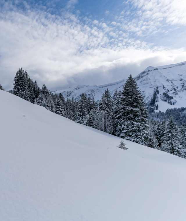 Fantastische Winterlandschaft rund um den Glaubenbielenpass in Sörenberg