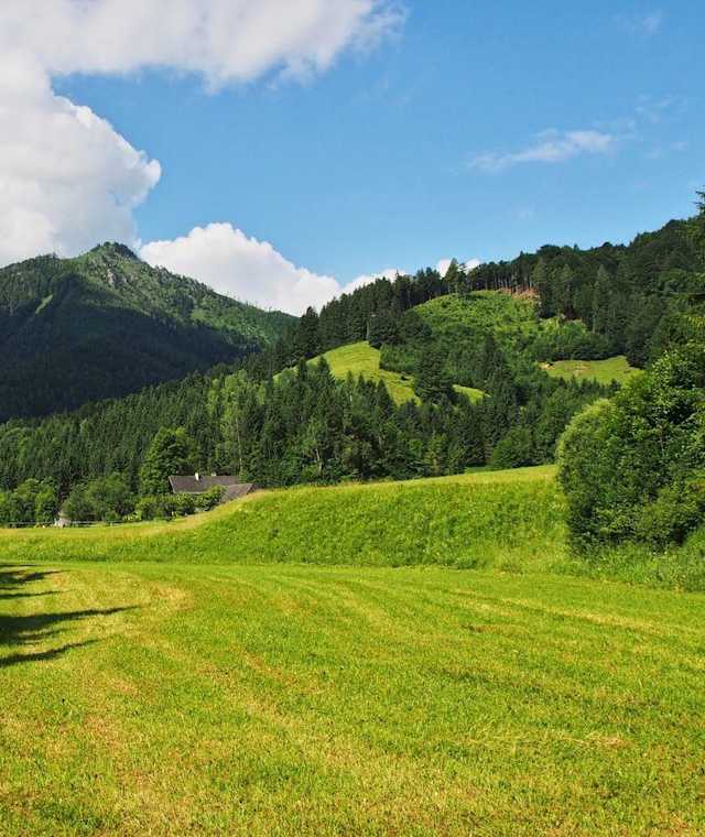 In der Welchau, im Hintergrund der Ramsauer Größtenberg