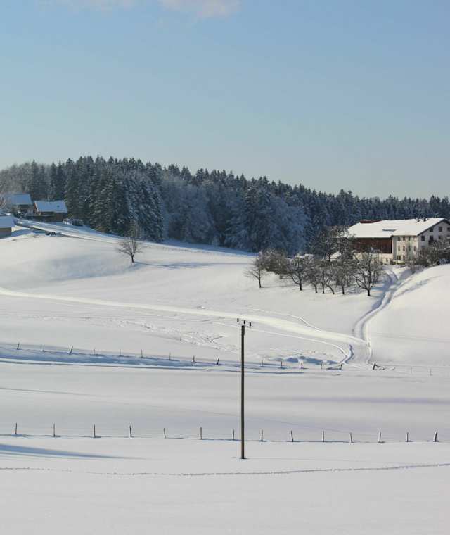 Blick auf Vorauf im Winter Bild Zuckowski