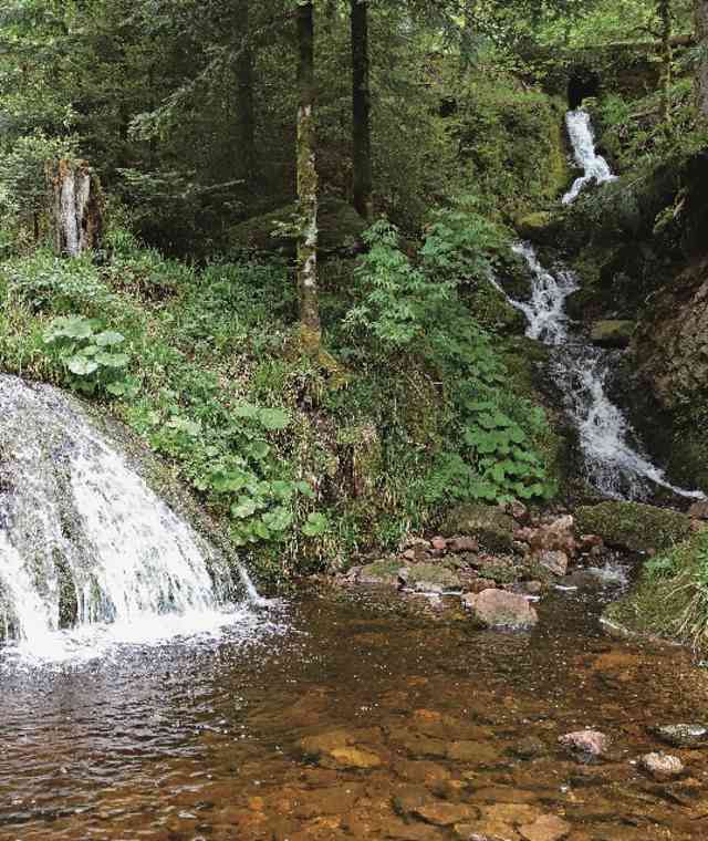 Der Fischfelsen-Wasserfall