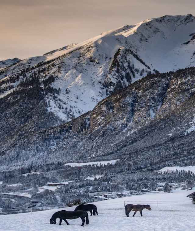 Winterwanderung oberhalb von Strengen 
