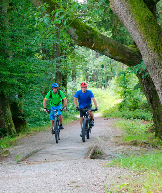 Auf breiten Wegen radelt man durch den Naturpark Hessischer Spessart
