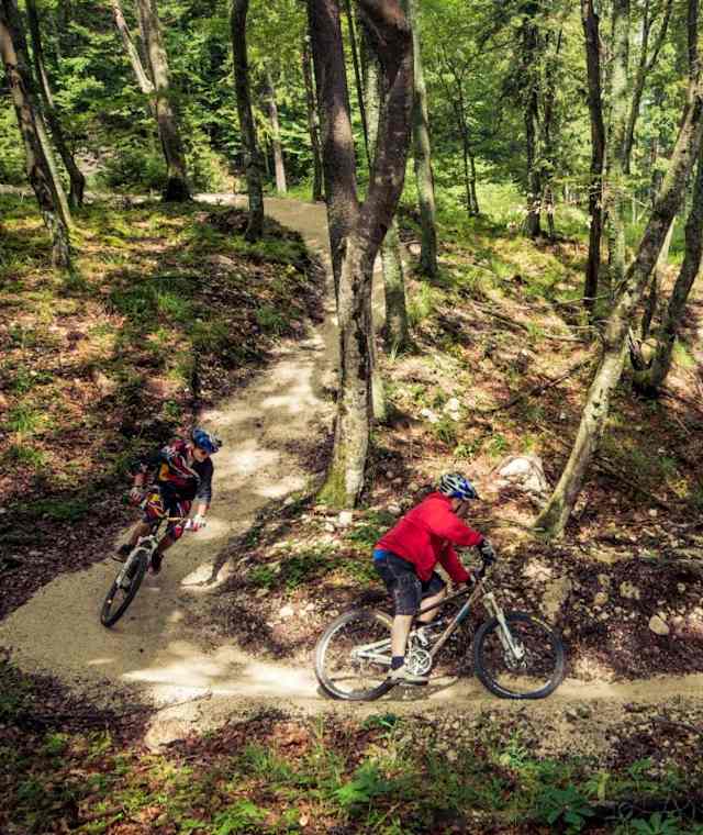Durch den Wald am Flow Trail 