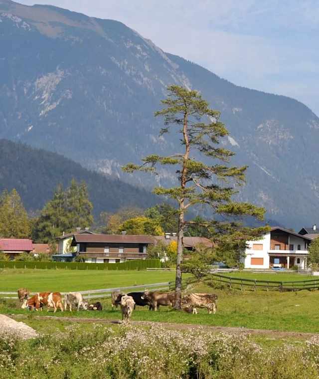 Die Gemeinde Forchach im Tiroler Lechtal.